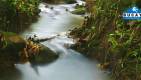Cloud-forest-guayaquil-tour-1155x654_c